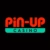 pin up logo