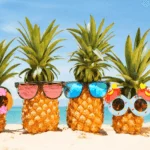 Ofertas de verano en Casinos Online en chile