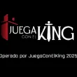 vidal juegaconelking leyes chile