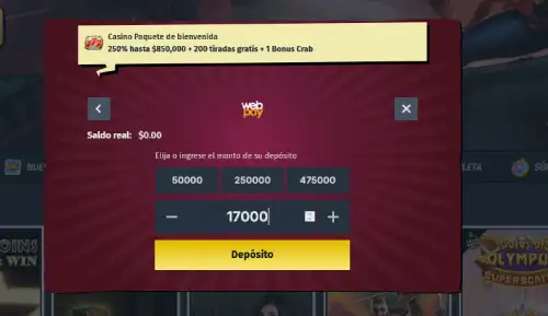 allyspin registro 4