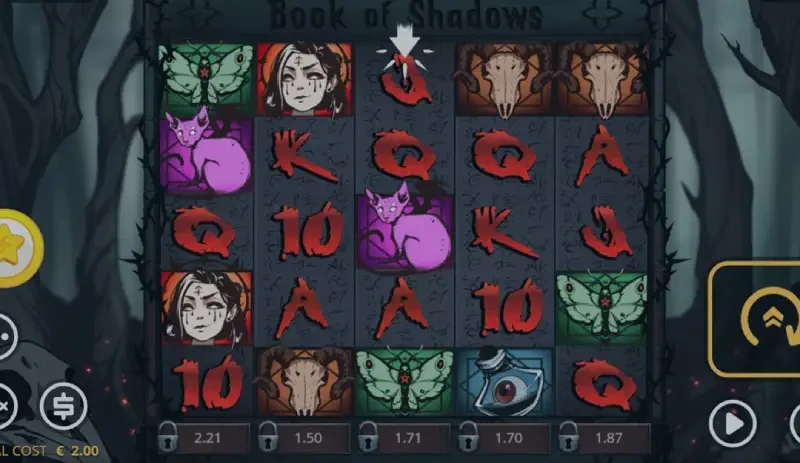 book of shadows