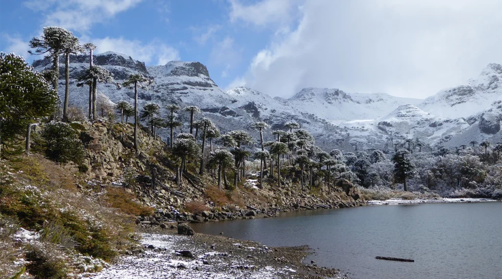 El sur de Chile es el mejor lugar para hacer trekking